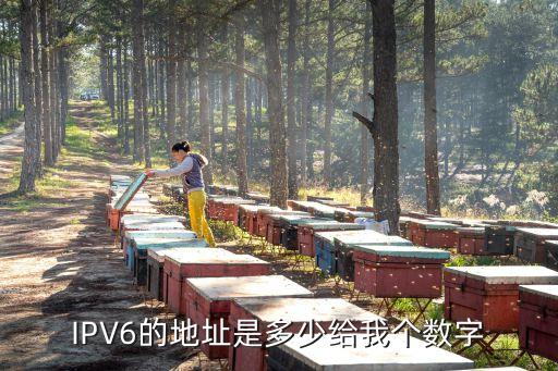 IPV6的地址是多少給我個數(shù)字