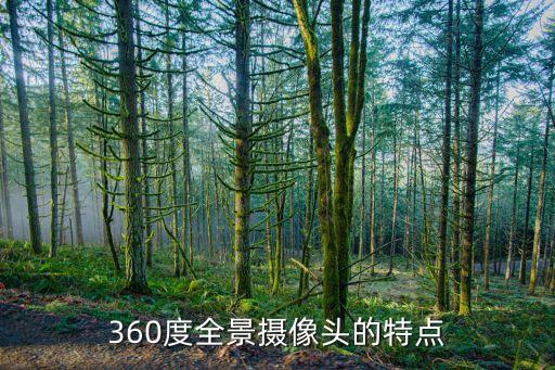 360度全景攝像頭的特點(diǎn)