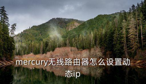動(dòng)態(tài)ip地址，win7 開機(jī)出現(xiàn)服務(wù)器動(dòng)態(tài)IP地址分配 DHCP停在那里拉