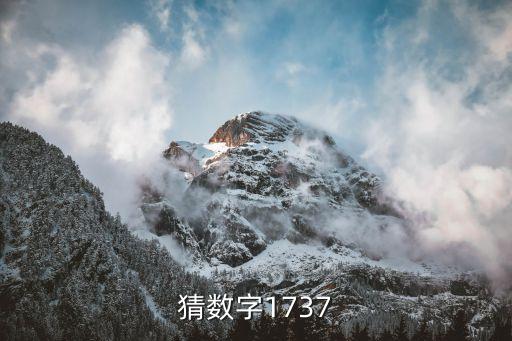 猜數(shù)字1737