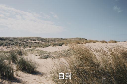 自封，古幣自封什么意思