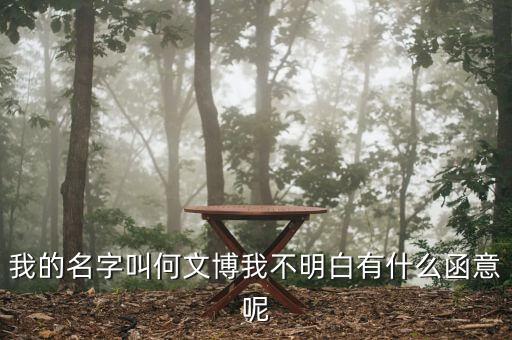 我的名字叫何文博我不明白有什么函意呢