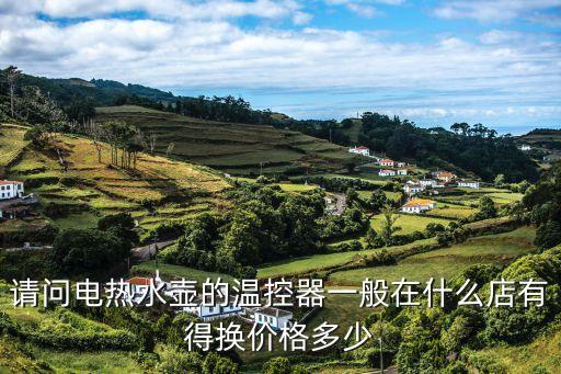 請(qǐng)問電熱水壺的溫控器一般在什么店有得換價(jià)格多少