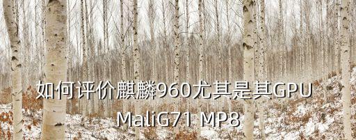 如何評價麒麟960尤其是其GPU MaliG71 MP8