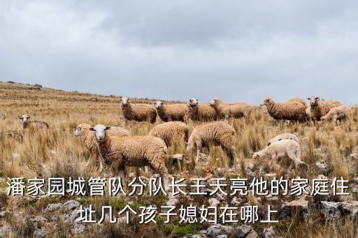 潘家園城管隊分隊長王天亮他的家庭住址幾個孩子媳婦在哪上