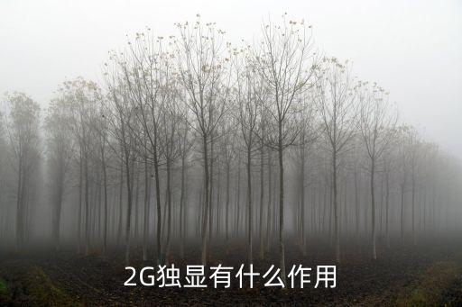 2G獨顯有什么作用