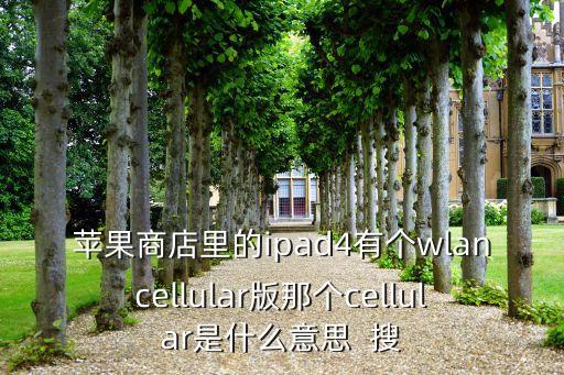 cellular版是什么意思，ipad的Cellular版是什么意思