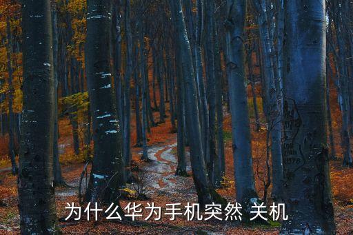 華為手機(jī)關(guān)機(jī)，華為手機(jī)老是自動(dòng)關(guān)機(jī)是什么原因