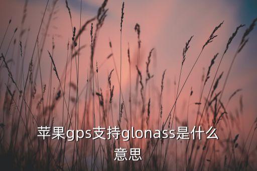 蘋果gps支持glonass是什么意思
