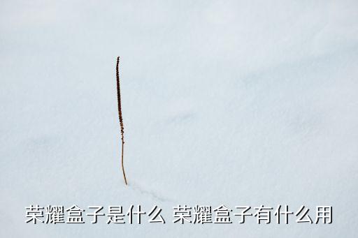 榮耀盒子是什么 榮耀盒子有什么用