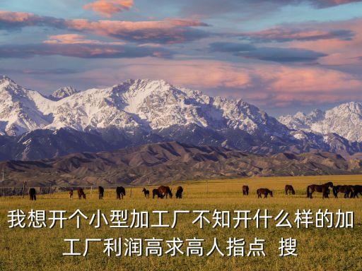 想開個小型加工廠，我是在農(nóng)村的想開一間小加工廠但不知開什么工廠好想請大家