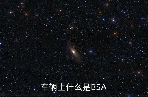 車輛上什么是BSA