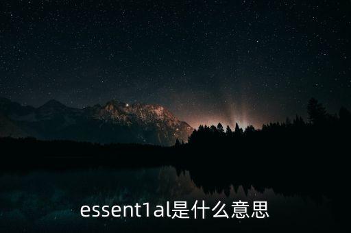 essent1al是什么意思