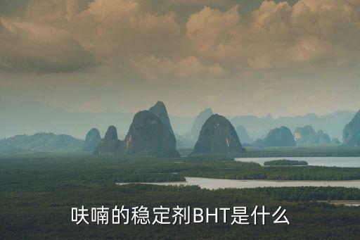 bht，bht是什么的縮寫啊 急