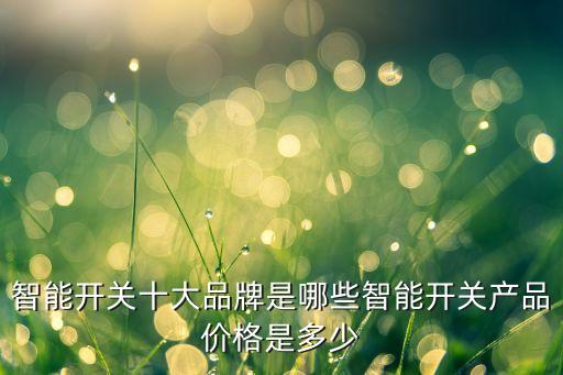 智能開關十大品牌是哪些智能開關產(chǎn)品價格是多少