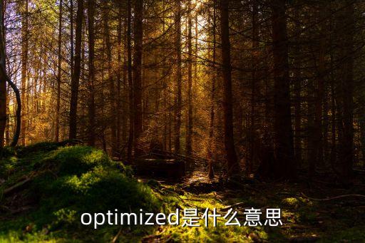 optimized是什么意思