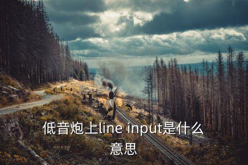 線輸入，低音炮上line input是什么意思