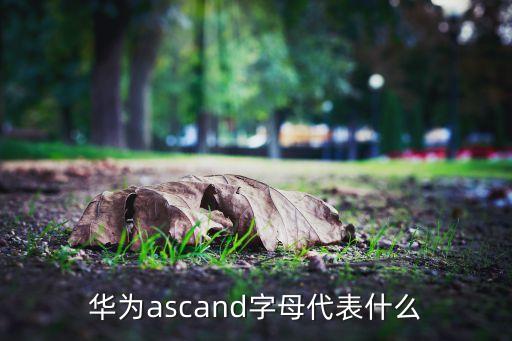 華為ascand字母代表什么