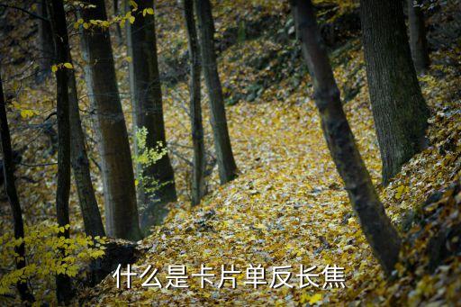 卡片相機(jī)，推薦幾款卡片相機(jī)要拍照質(zhì)量好的高分