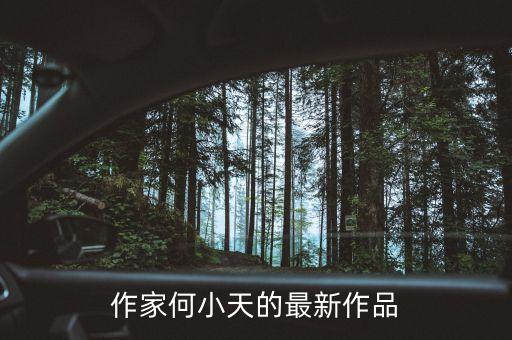 作家何小天的最新作品