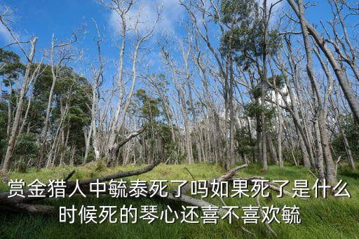 毓泰，賞金獵人中安聘遠(yuǎn)最后和誰在一起毓泰呢