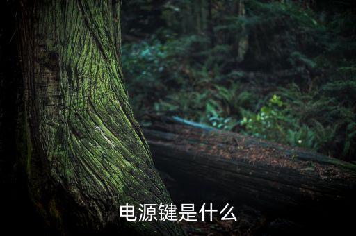 電源鍵，啥是電源鍵