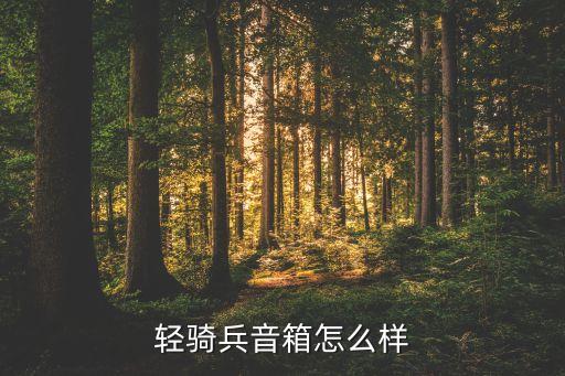 hussar，hussam到底是什么意思啊