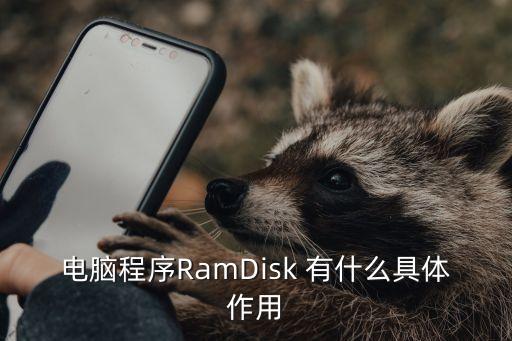 電腦程序RamDisk 有什么具體作用