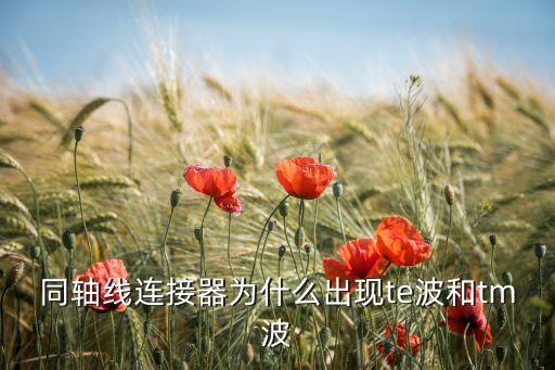 同軸線連接器為什么出現(xiàn)te波和tm波