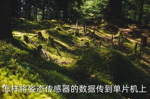 怎樣將姿態(tài)傳感器的數(shù)據(jù)傳到單片機(jī)上