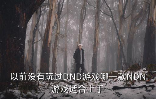 以前沒有玩過DND游戲哪一款NDN游戲適合上手