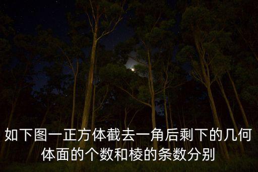 如下圖一正方體截去一角后剩下的幾何體面的個數(shù)和棱的條數(shù)分別