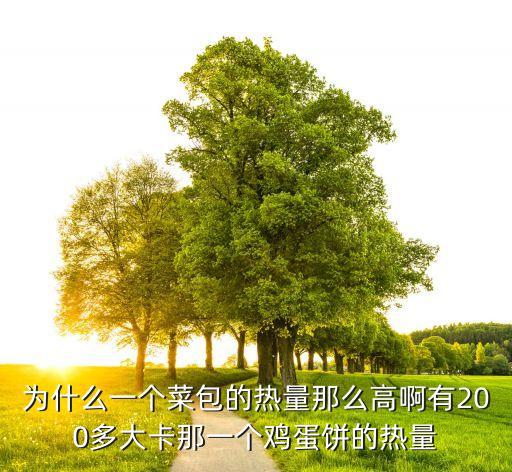 為什么一個菜包的熱量那么高啊有200多大卡那一個雞蛋餅的熱量