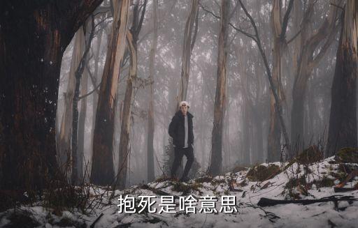 抱死是啥意思