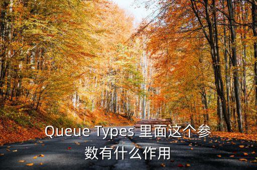 Queue Types 里面這個(gè)參數(shù)有什么作用