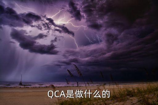 QCA是做什么的