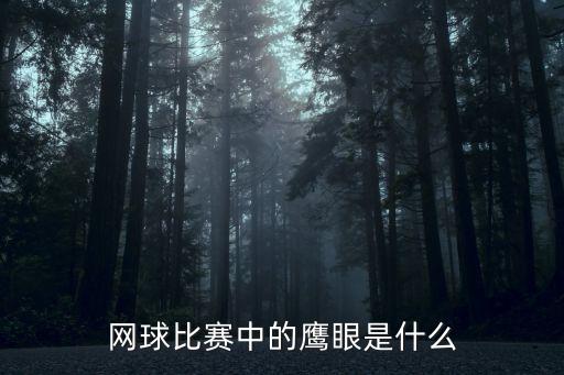 網(wǎng)球比賽中的鷹眼是什么