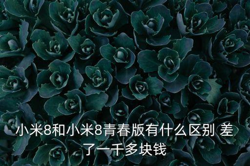 小米8和小米8青春版有什么區(qū)別 差了一千多塊錢(qián)