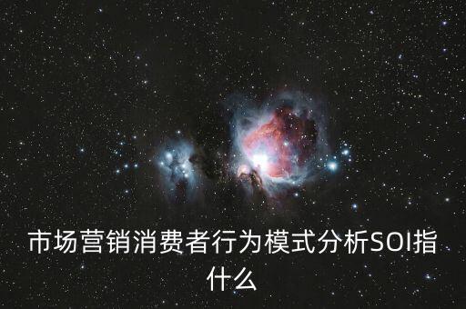 市場(chǎng)營(yíng)銷(xiāo)消費(fèi)者行為模式分析SOI指什么