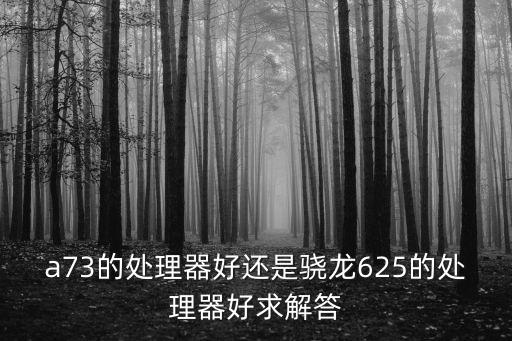 a73的處理器好還是驍龍625的處理器好求解答