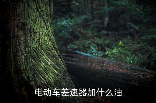 電動車差速器加什么油