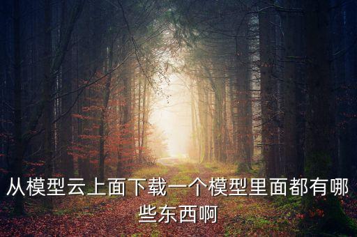 從模型云上面下載一個模型里面都有哪些東西啊