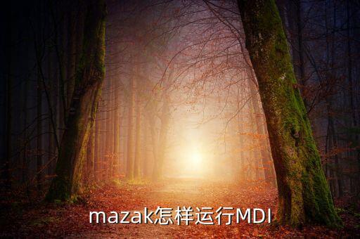mazak，mazak的編程術(shù)語
