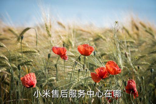 小米服務網(wǎng)點，小米售后服務中心在哪