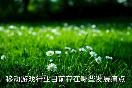 移動(dòng)游戲行業(yè)目前存在哪些發(fā)展痛點(diǎn)