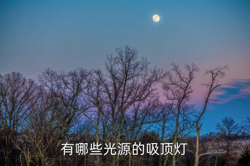 有哪些光源的吸頂燈
