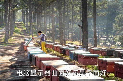 電腦顯示器曲面好還是平面好