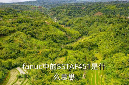 fanuc中的SSTAF451是什么意思