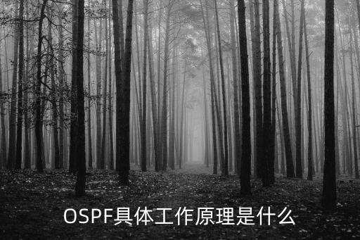 磁控管工作原理，磁控管原理是什么