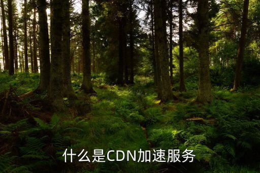 什么是CDN加速服務(wù)